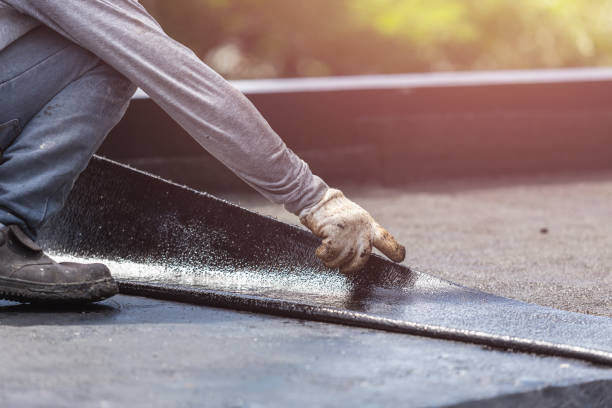 Professional Interior Drainage System technician working in Laymantown, VA